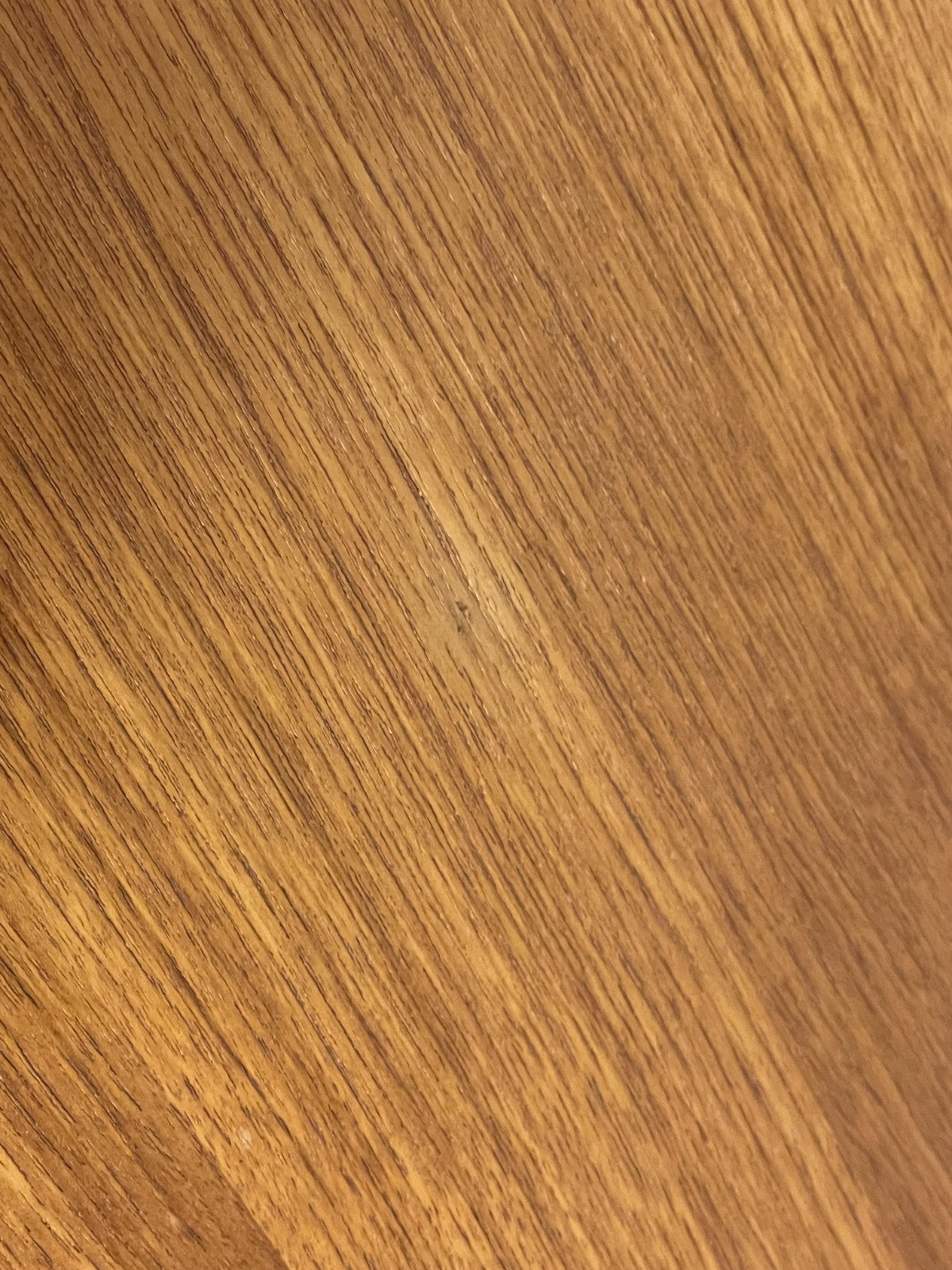 46099161