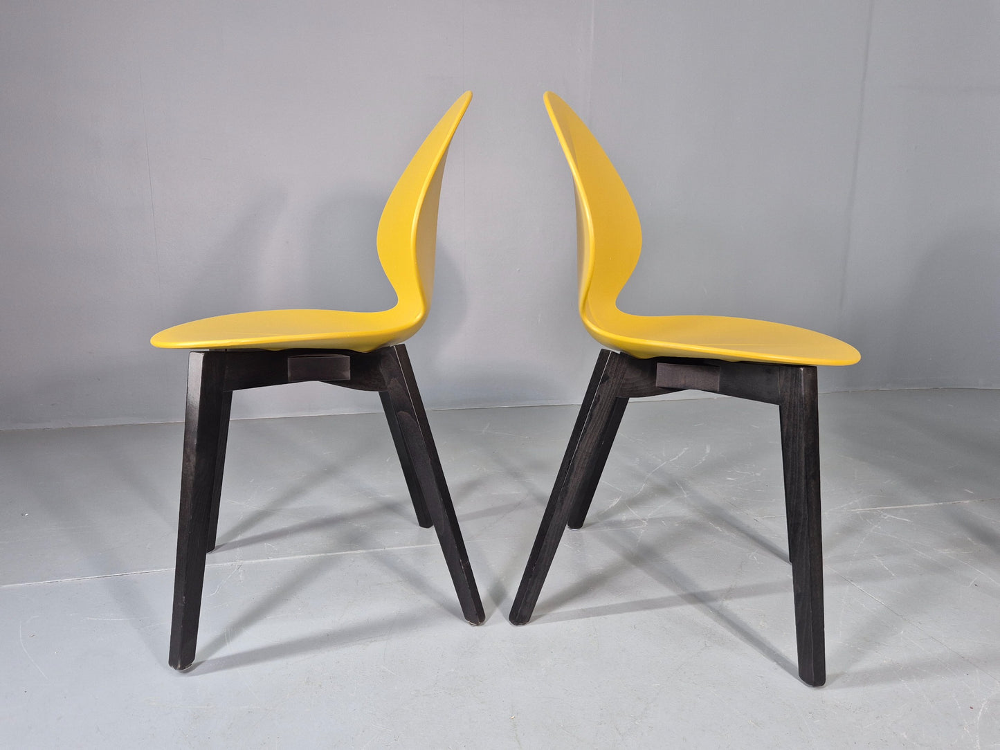 6 Calligaris Dining Chairs Model Basil Yellow Wood Base Modern Design EB12874
