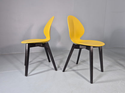 6 Calligaris Dining Chairs Model Basil Yellow Wood Base Modern Design EB12874