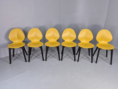 6 Calligaris Dining Chairs Model Basil Yellow Wood Base Modern Design EB12874