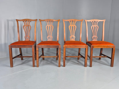 4 Hepplewhite Revival Dining Chairs 1900s Oak New Seat Pads Antique EB11932