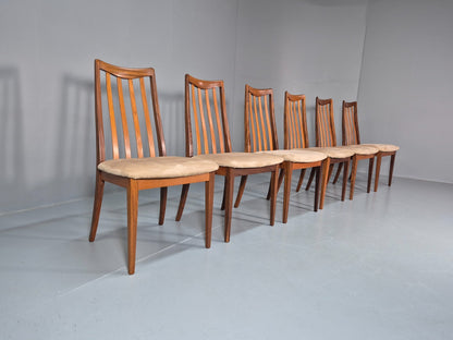 6 G Plan Fresco Lounge Chairs Teak High Back Cream SEats 1970s  EB10984 VDIN1