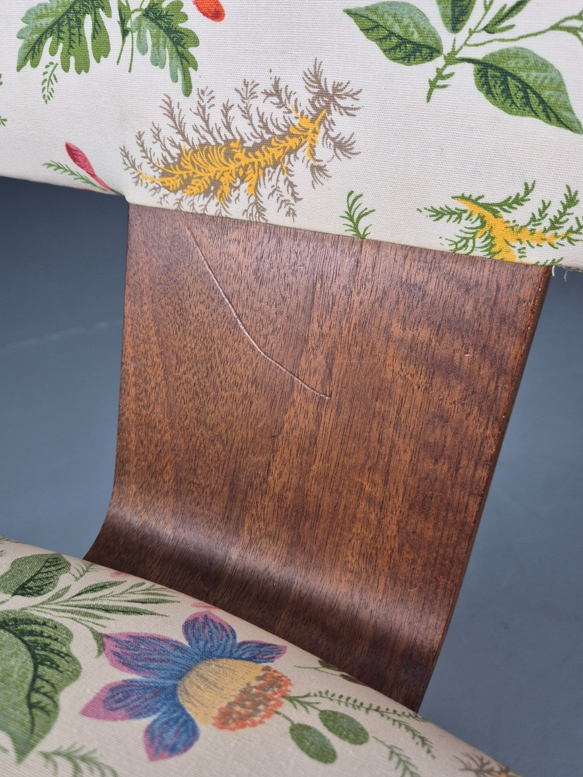 Retro 1950s Dining Chair Teak Bentwood Floral MCM Vintage EB10937 MNOR12