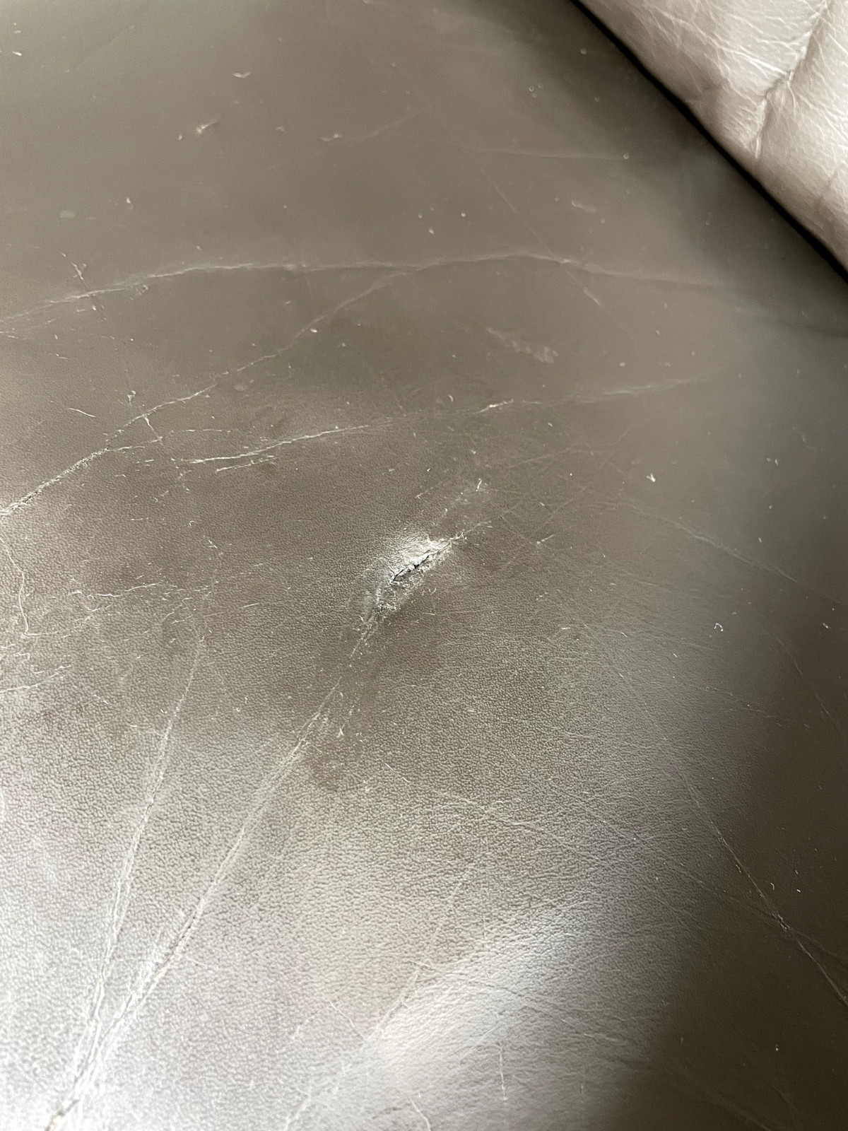 Vintage Danish Lounge Chair Brown Leather Jeki Gehl Retro MCM EB6082 MNOR14