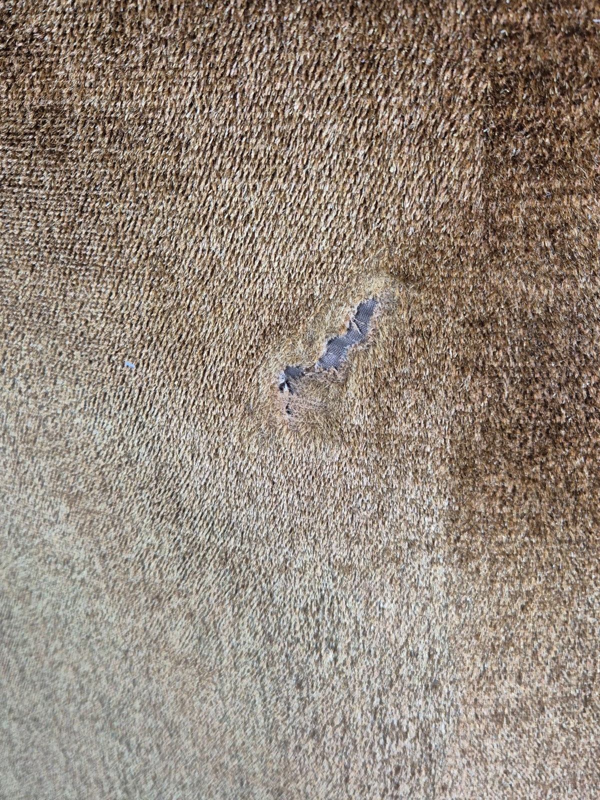 Mid Century Tub Chair Danish 1960s Brown Velour Retro Buttons EB10755 MNOR9