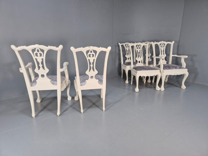 6 Vintage Chippendale Style Chairs White Painted Blue Chenille 1950s EB9394 VDIN - UKDK FURNITURE