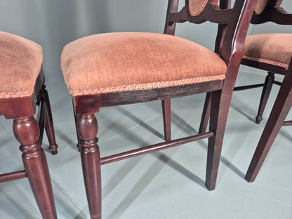 4 1970s Dining Chairs Pink Velour Stylised Regency Style Retro EB11962 VDIN15