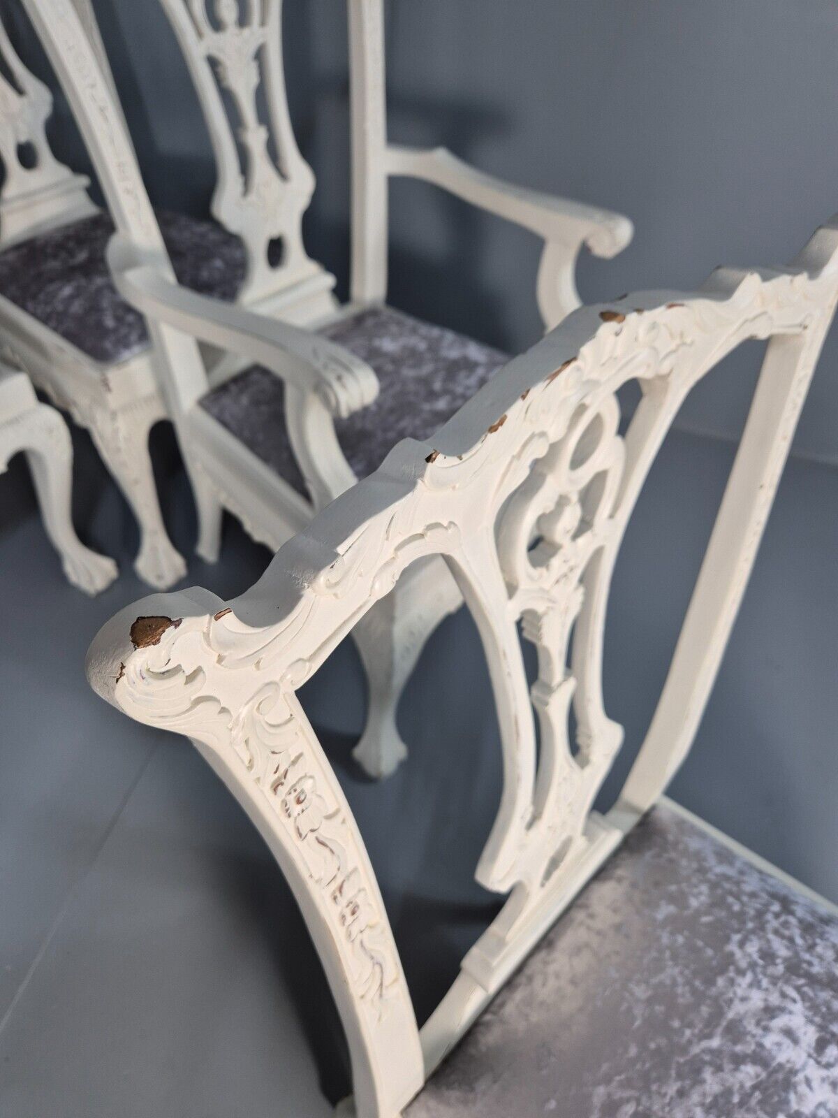 6 Vintage Chippendale Style Chairs White Painted Blue Chenille 1950s EB9394 VDIN - UKDK FURNITURE
