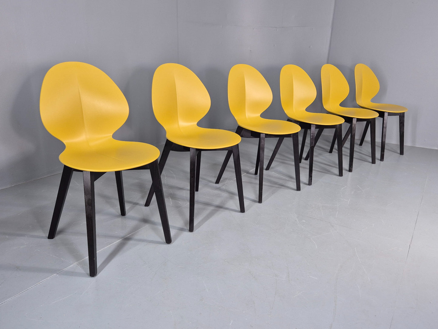 6 Calligaris Dining Chairs Model Basil Yellow Wood Base Modern Design EB12874