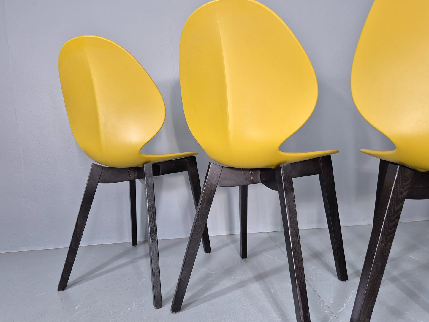 6 Calligaris Dining Chairs Model Basil Yellow Wood Base Modern Design EB12874