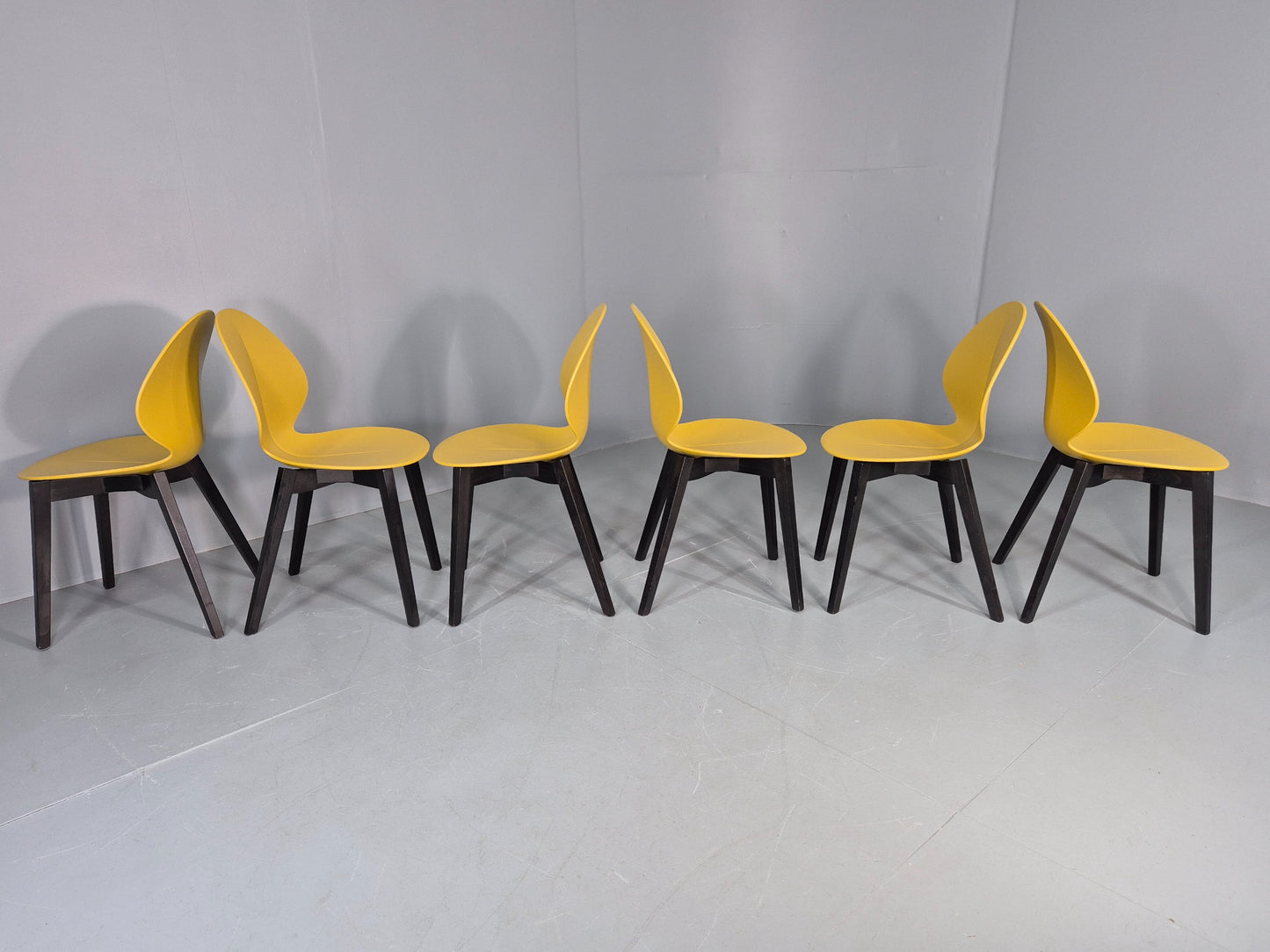 6 Calligaris Dining Chairs Model Basil Yellow Wood Base Modern Design EB12874