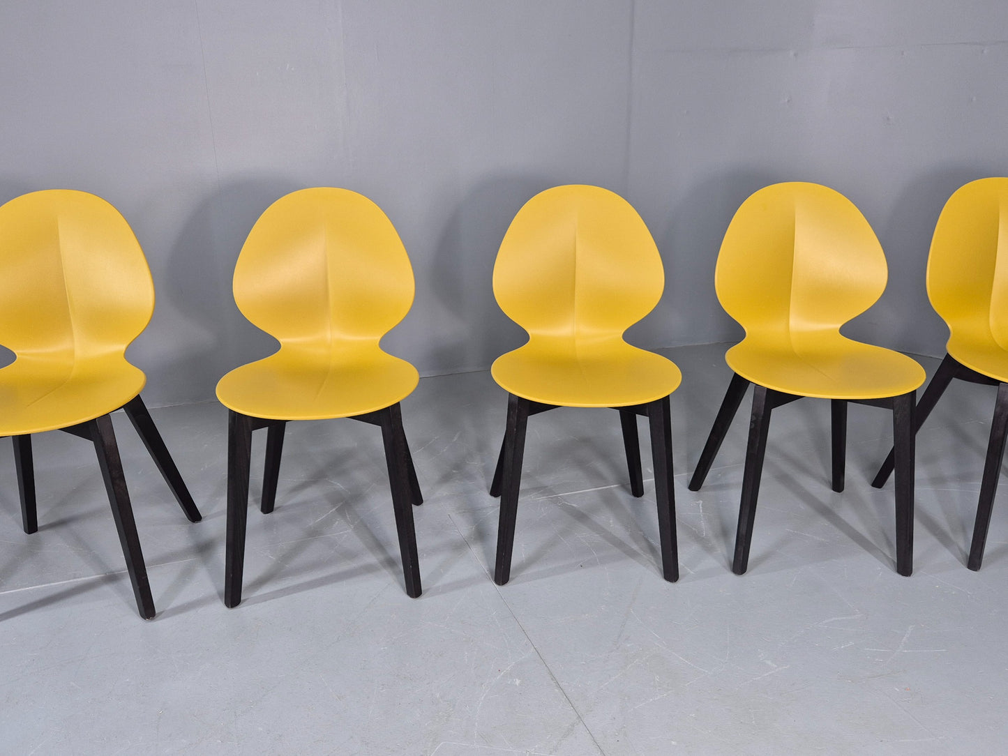 6 Calligaris Dining Chairs Model Basil Yellow Wood Base Modern Design EB12874