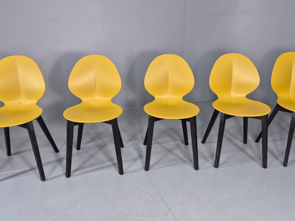6 Calligaris Dining Chairs Model Basil Yellow Wood Base Modern Design EB12874