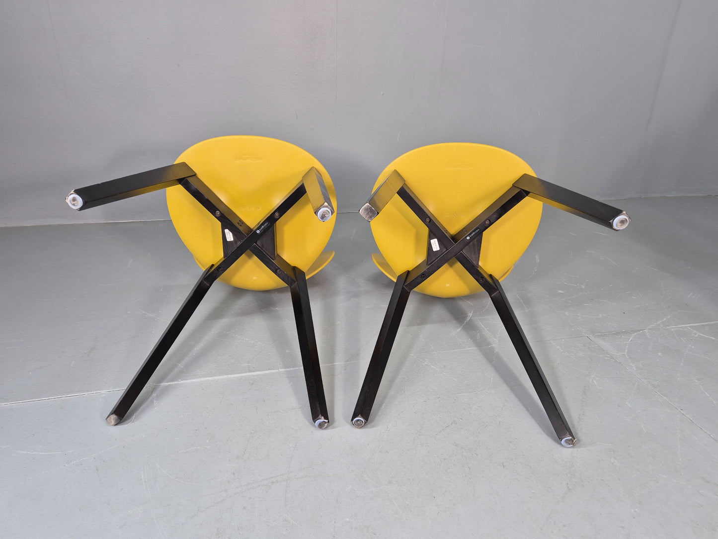 6 Calligaris Dining Chairs Model Basil Yellow Wood Base Modern Design EB12874